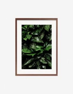 Still Life 7 Photography Print By Ashley Johnson -Home Furnishings JohnsonStillLifePack7 7walnutframe