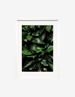 Still Life 7 Photography Print By Ashley Johnson -Home Furnishings JohnsonStillLifePack7 7whiteframe