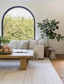 Koukila Rug By Pure Salt X Momeni -Home Furnishings KOUKIKOK 2IVY 16