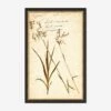 Herbarium E Wall Art