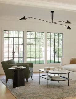 Cornelia By Justina Blakeney X Loloi -Home Furnishings LivingRoomIIIVIII 1047 1 SITECROP 3 32a4d17f b698 405b bb2d 7c8c5ec7ee0c