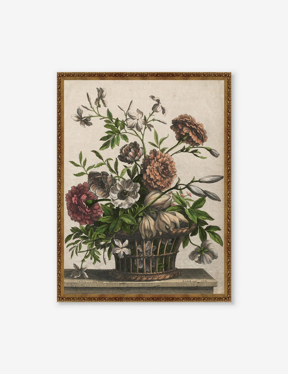 Marigolds, Single Anemone, Jasmine Print By Jean-Baptiste Monnoyer 1 Marigolds, Single Anemone, Jasmine Print By Jean-Baptiste Monnoyer