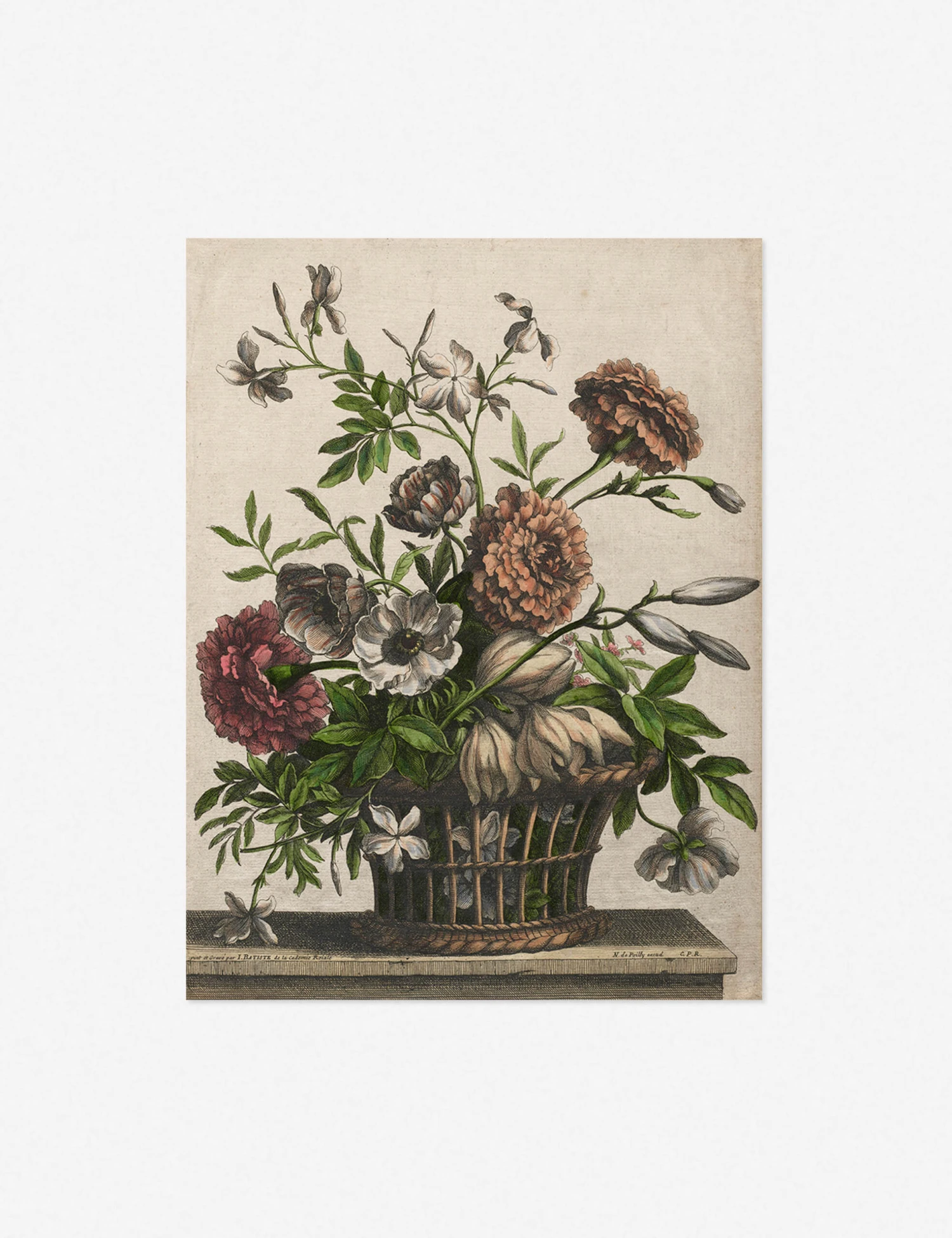Marigolds, Single Anemone, Jasmine Print By Jean-Baptiste Monnoyer 2 Marigolds, Single Anemone, Jasmine Print By Jean-Baptiste Monnoyer - Image 2
