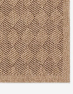 Adisa Indoor / Outdoor Rug -Home Furnishings NMB05 3
