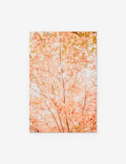 Pastel Fall Tree Photography Print By Ingrid Beddoes 13 Pastel Fall Tree Photography Print By Ingrid Beddoes -Home Furnishings PastelFallTree