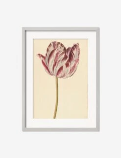 Red And White Tulip Print -Home Furnishings RedandWhiteTulipSilverMatted