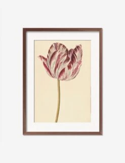 Red And White Tulip Print