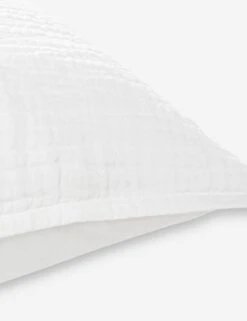 Darcy Sham 30 Darcy Sham -Home Furnishings V250174 3