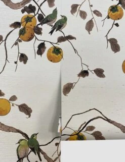 Persimmon Birds Wallpaper By Nathan Turner