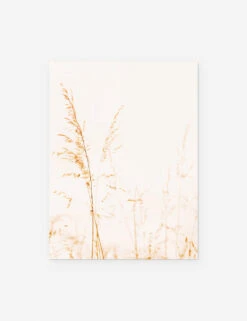Wild Grass Photography Print By Ingrid Beddoes -Home Furnishings WildGrass