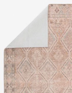 Celestin Rug -Home Furnishings knd01 2